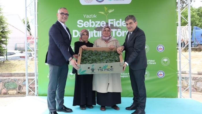 Büyükşehir, Gebzeli çiftçiye 500 bin sebze fidesi desteği verdi;  Tarlalar bereketleniyor, Kocaeli çiftçisi kazanıyor